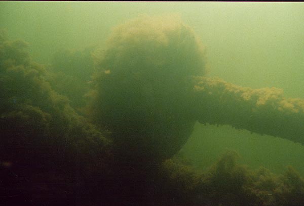 Juhani ja pohjalevyt